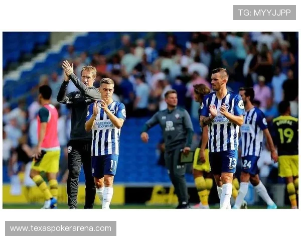 布莱顿低成本引援奏效 打造高性价比竞争力阵容